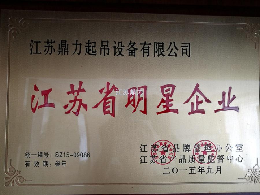 江蘇省明星企業(yè)